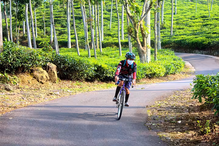 tiket masuk Kebun Teh Jamus