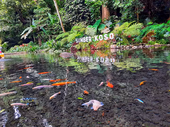 tiket masuk sumber koso