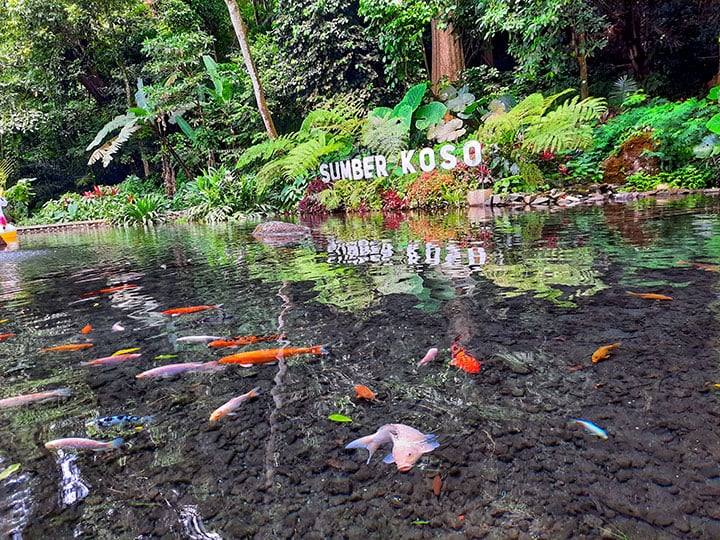tiket masuk sumber koso