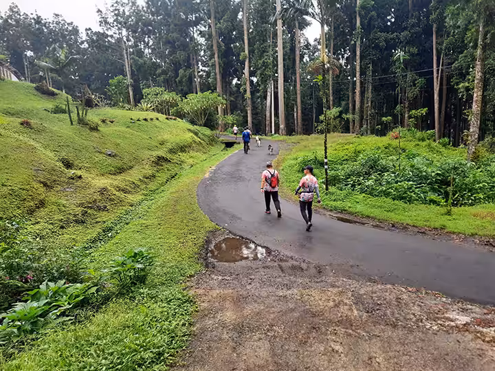 trekking Kebun Raya Baturaden