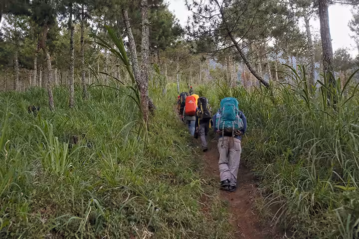 trekking gunung wilis