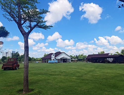 Rustic Market Graha Natura
