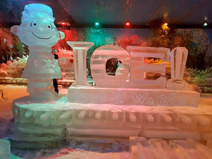 Snow World International Mall Revo Town Bekasi