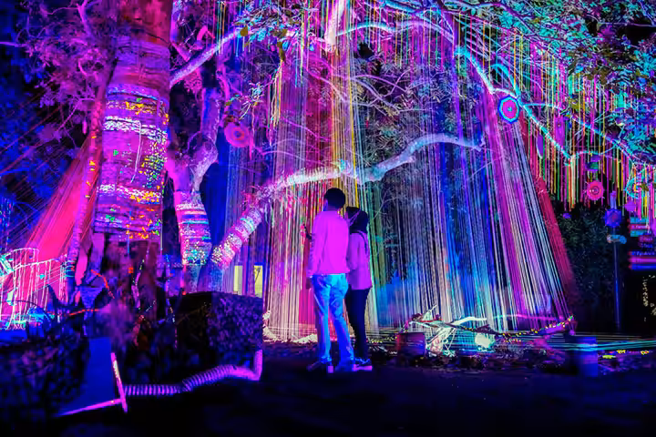 daya tarik Hutan Menyala