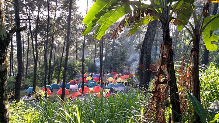 harga sewa bumi perkemahan dlundung
