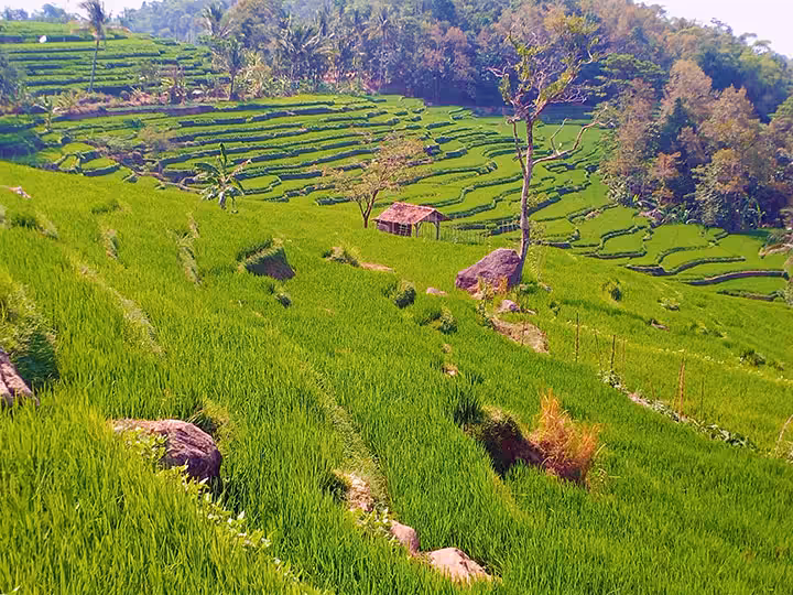 jalan menuju gunung ciwaru