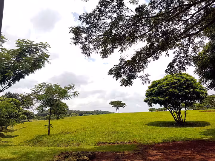 taman di citraland bsb city semarang