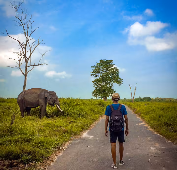 taman nasional way kambas flora