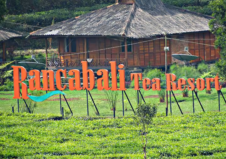 Fasilitas Kebun Teh Rancabali