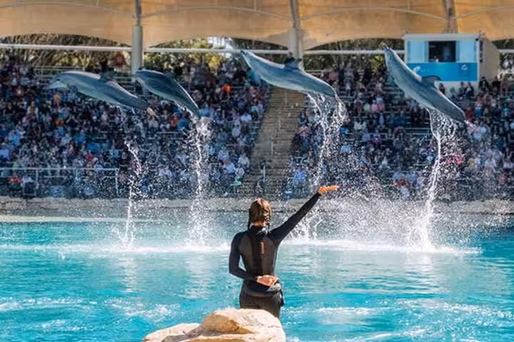 Sea World australia