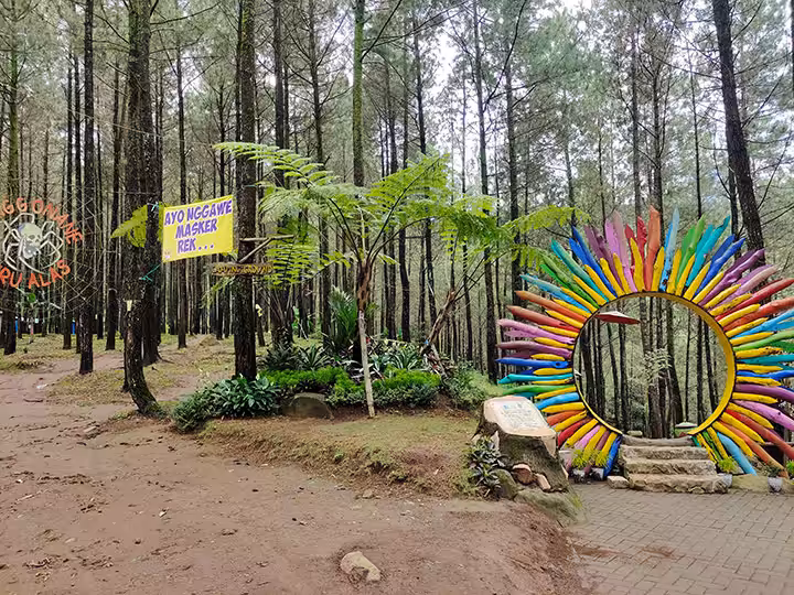 Hutan Pinus Puthuk Panggang Welut