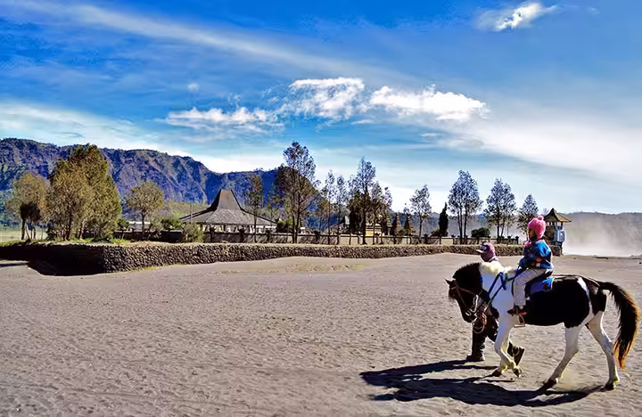 berkuda di Gunung Penanjakan