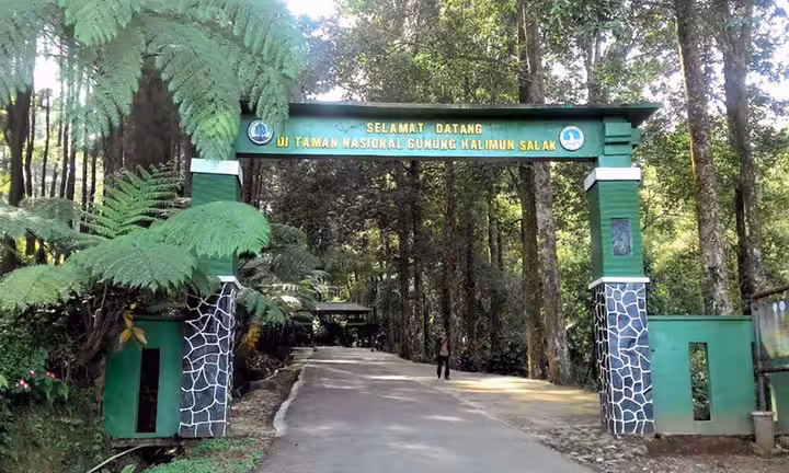 rute Taman Nasional Gunung Halimun salak bogor