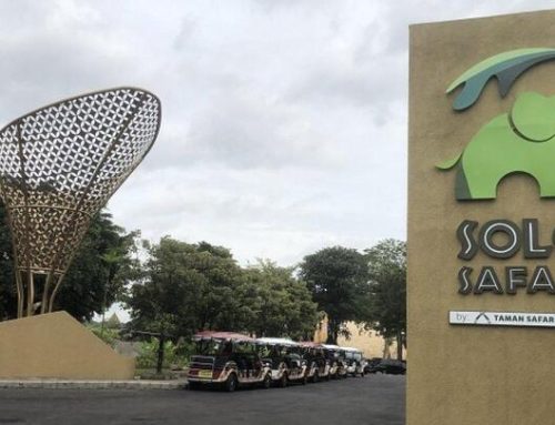 Solo Safari Zoo