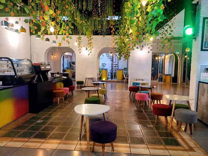 Trafique Lifestyle Hub