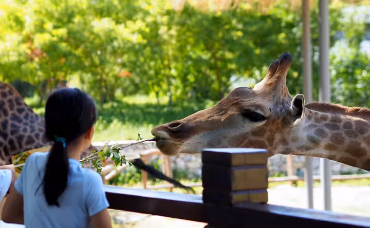 harga tiket central park zoo medan