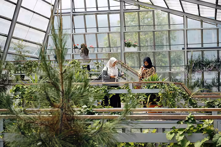 kebun bunga Rumah Atsiri Indonesia