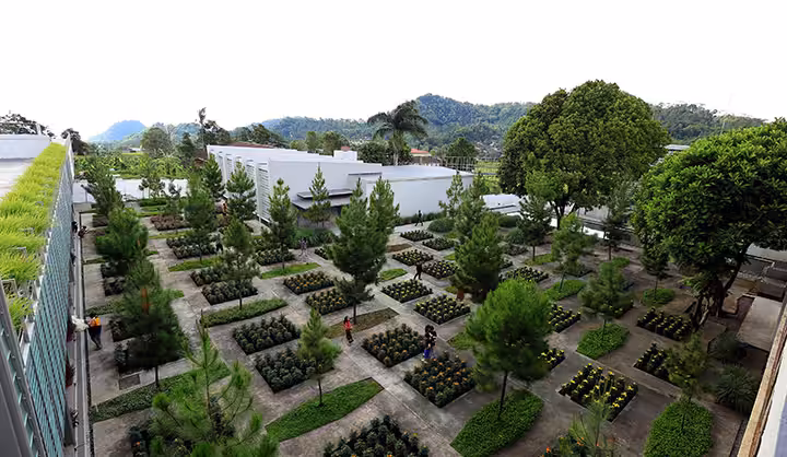 marigold Rumah Atsiri Indonesia