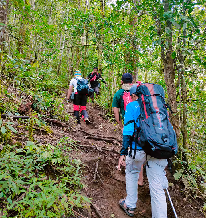 pendakian gunung sagara garut