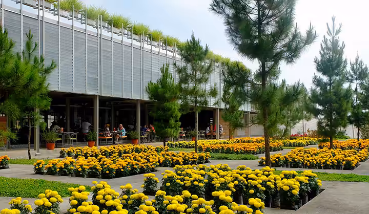 resto Rumah Atsiri Indonesia