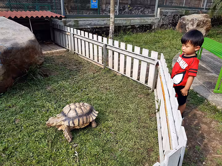 wisata kebun binatang pancur batu Medan