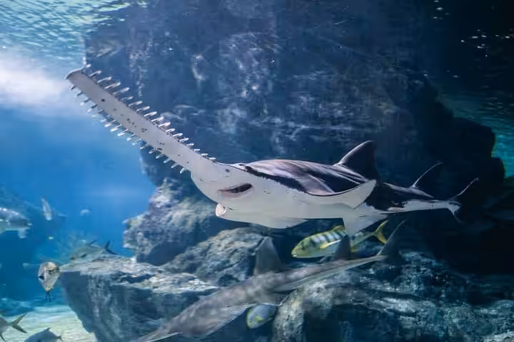 Sea Life Bangkok Ocean World