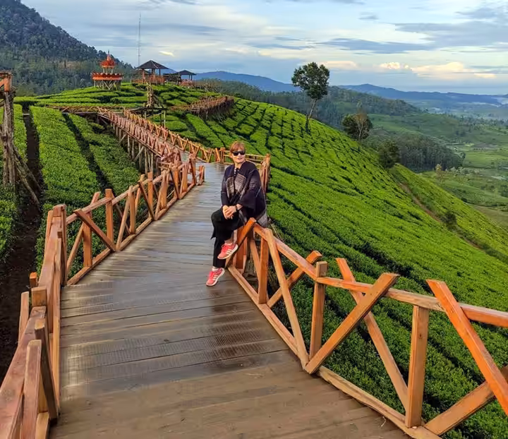 agrowisata gunung wayang pangalengan