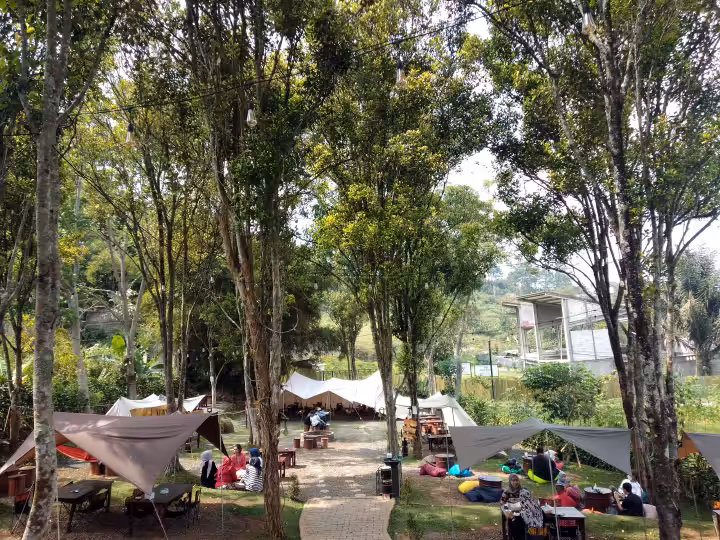 Atanapi Coffee Camp