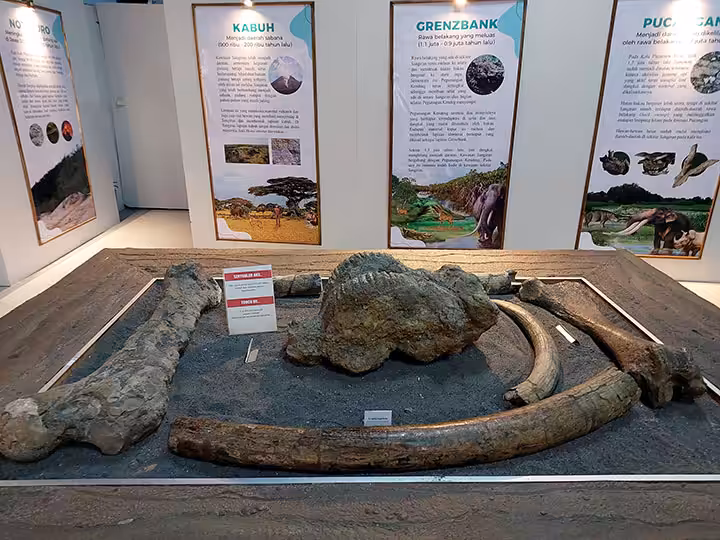 harga tiket masuk museum sangiran