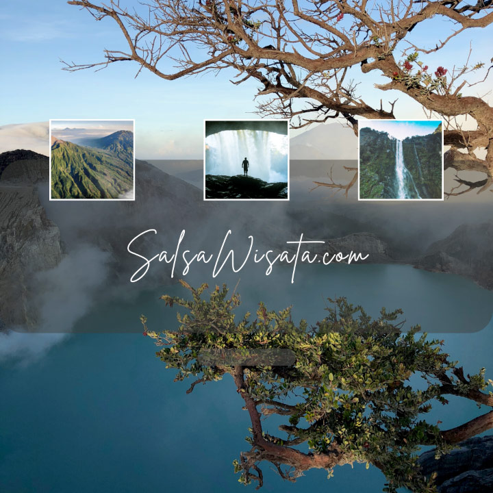 Healing Bersama Salsa Wisata