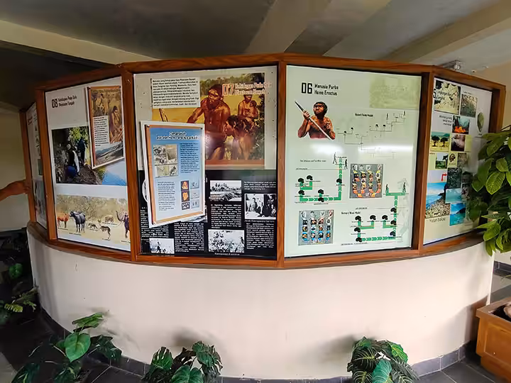 isi koleksi museum sangiran