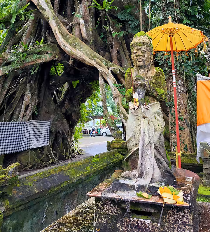 sejarah bunut bolong