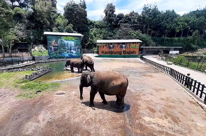 wahana kampung gajah bandung
