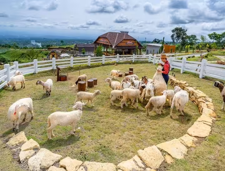 wisata Cepogo Cheese Park