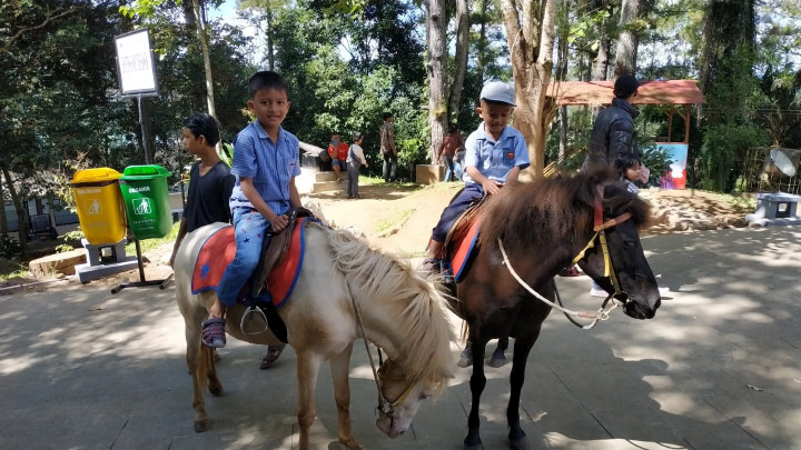 fasilitas di Taman Margasatwa dan Budaya Kinantan