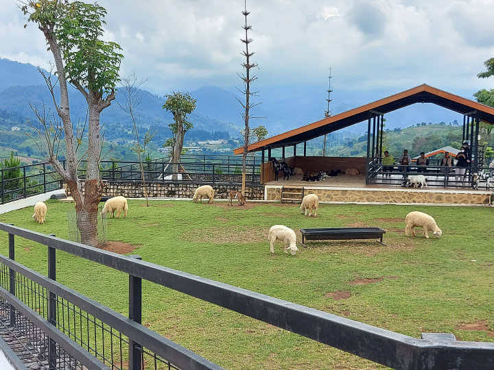 kandang kambing The Nice Funtastic Park Cianjur