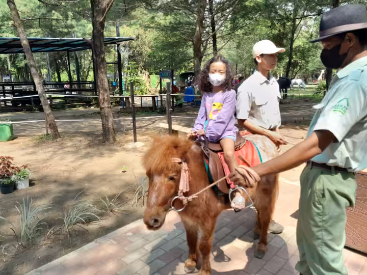naik kuda di Safari Beach Jateng Batang
