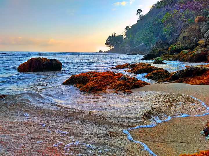 pantai pangi blitar ulasan