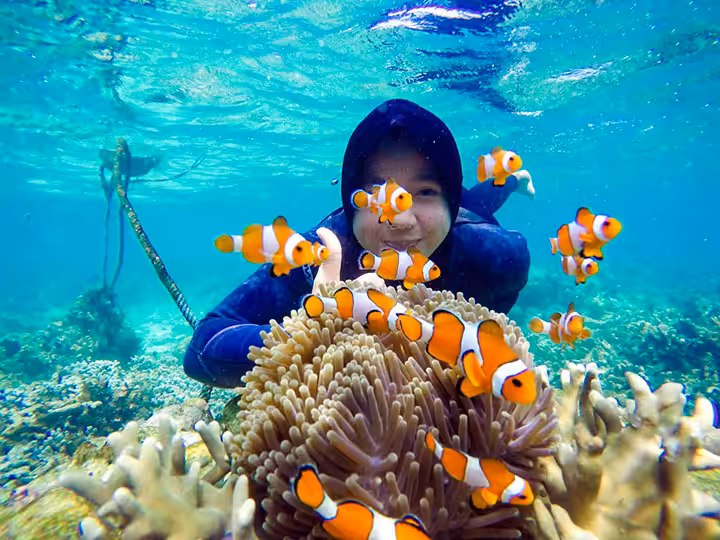 snorkeling pulau kelagian besar