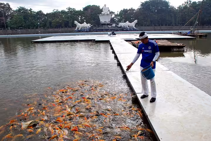 tiket masuk situ buleud purwakarta