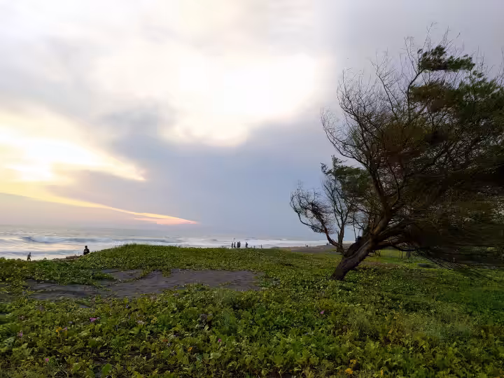 wisata Pantai Bugel Kulon Progo
