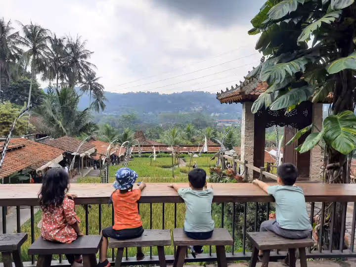 Ngopi Di Sawah Puncak