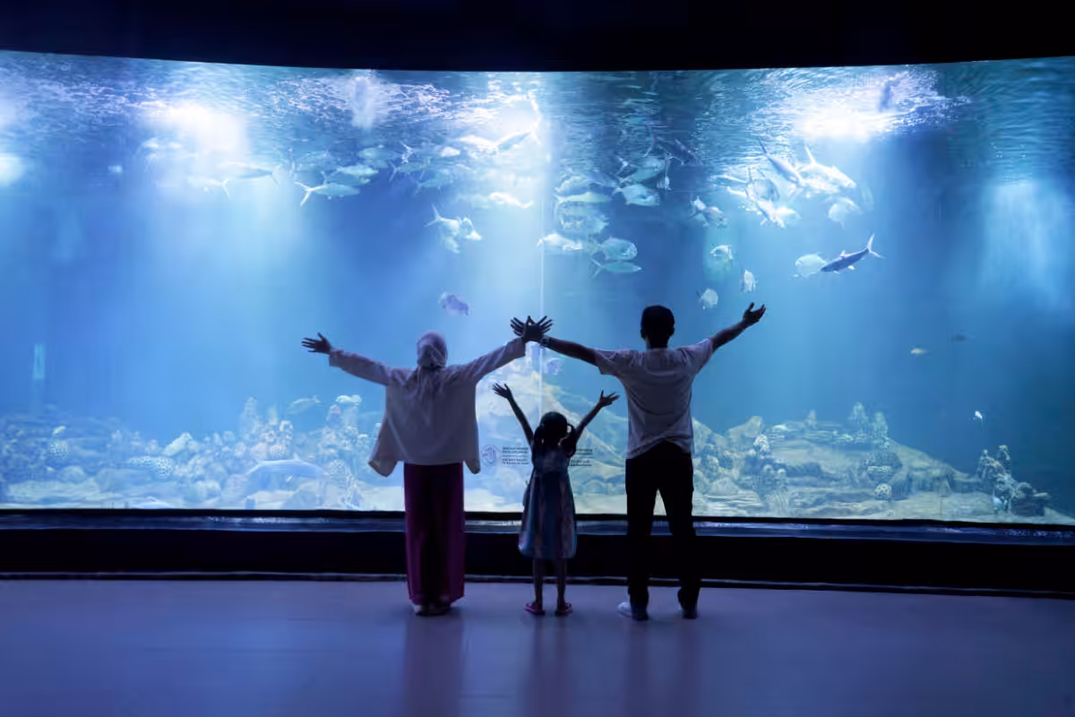 Aquarium Indonesia Pangandaran