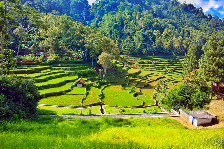 Situ Wulukut buka jam berapa