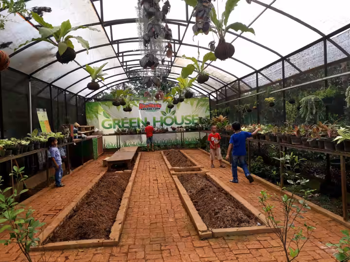 aktivitas pertanian di D'Kandang Amazing Farm Depok