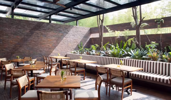 interior Cork and Screw