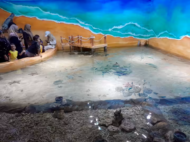 kolam dangkal di Aquarium Indonesia Pangandaran