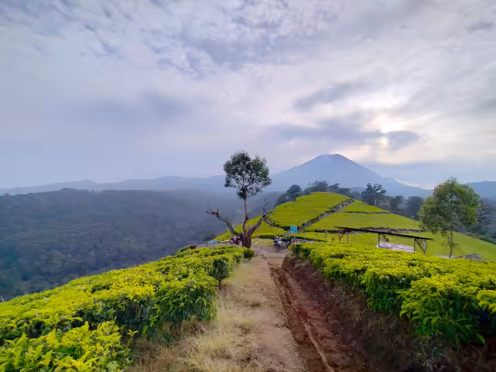 view Agrowisata Kaligua