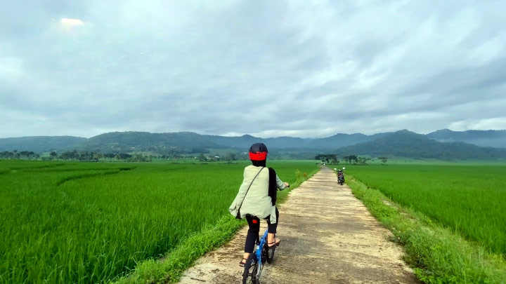 view sawah Geblek Pari Kulon Progo