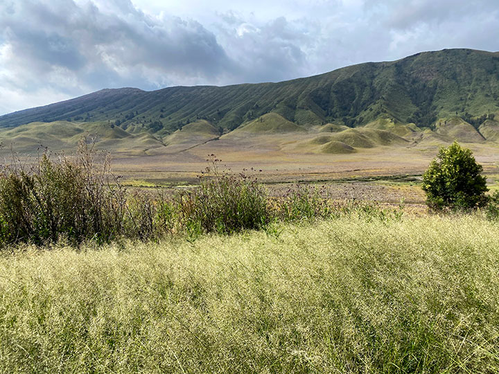 Bukit Teletubbies Hill Bromo